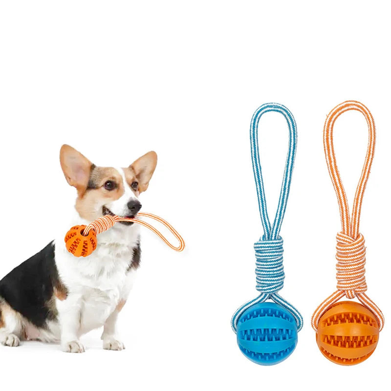 Diversión interactiva y salud: pelota de goma con cuerda para perros