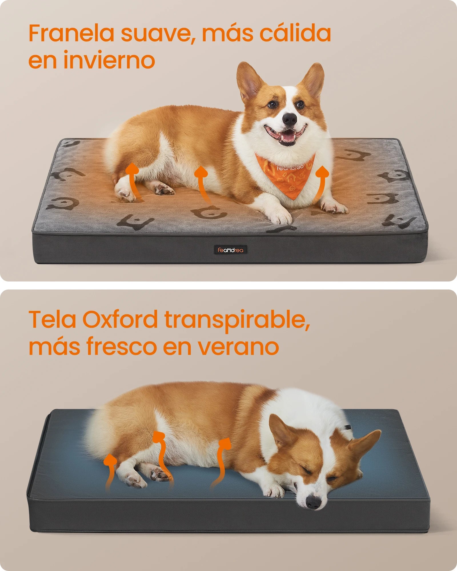 Cama Ortopédica Feandrea para Perros Medianos