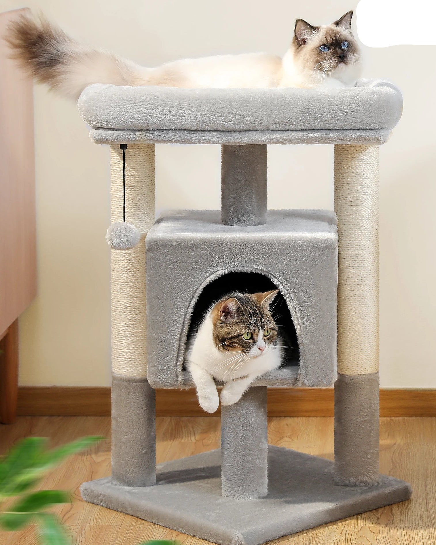 Árbol Rascador para Gatos con Cueva y Plataformas – Comodidad, Diversión y Seguridad