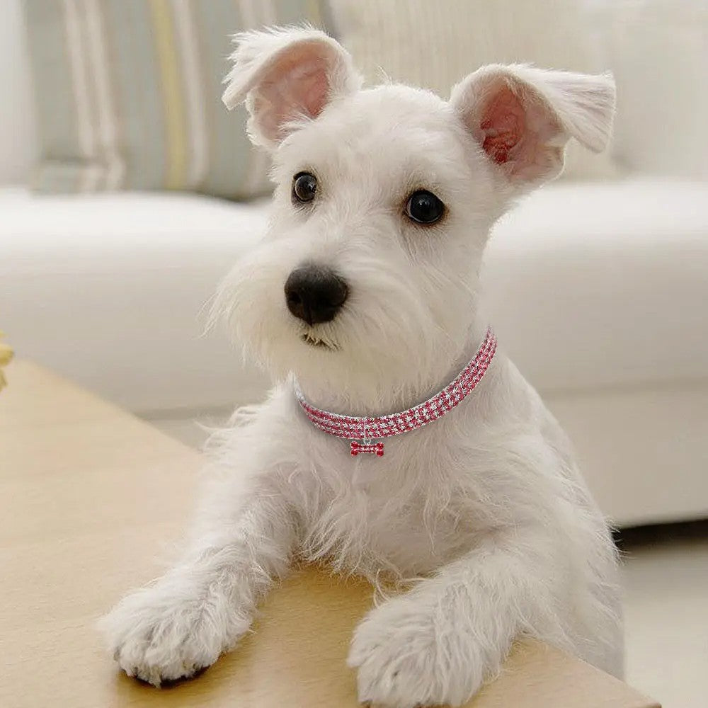 Collar de brillantes para perros y gatos – Elegancia y seguridad en cada paseo