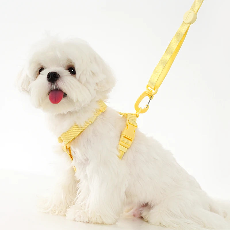 Set de Arnés, Collar y Correa Ajustable para Perro Pequeño