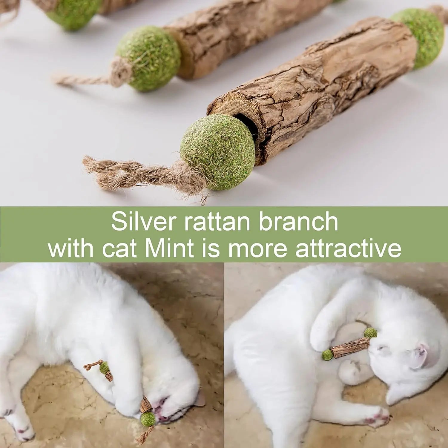 Palo Dental de Catnip y Matatabi para Gatos