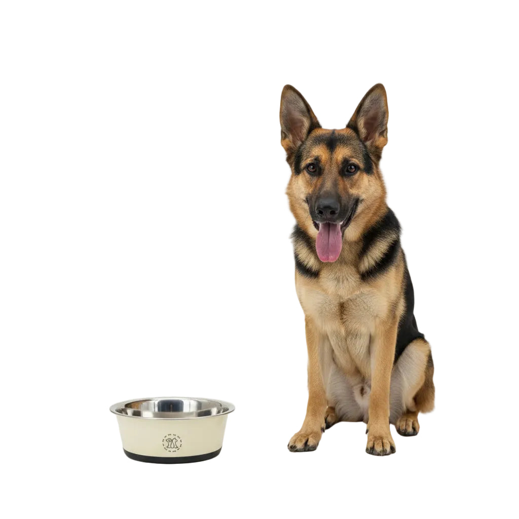 Comedero de Acero Antivuelco para Perros y Gatos