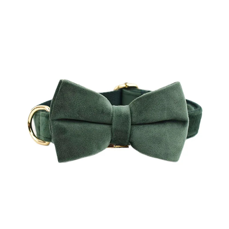 Set de Collar, Arnés y Correa de Terciopelo Personalizable