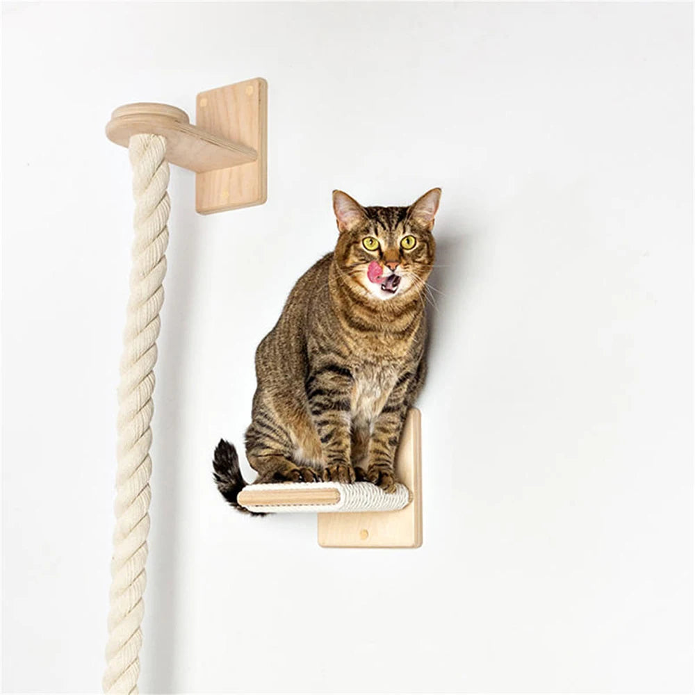 Set de Escalada para Gatos con Cuerda de 140cm y Estante - Diversión Vertical