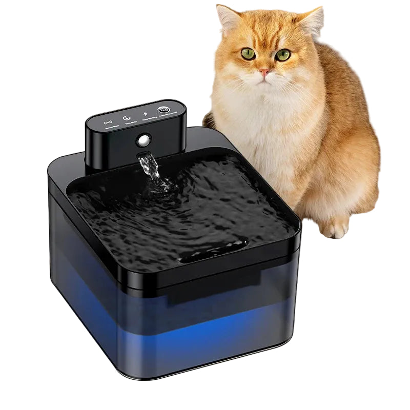Wireless Water Fountain with Sensor: Smart and Cable-Free Hydration