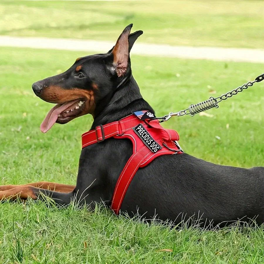 Arnés Reflectante con Correa y Bol Plegable para Perros
