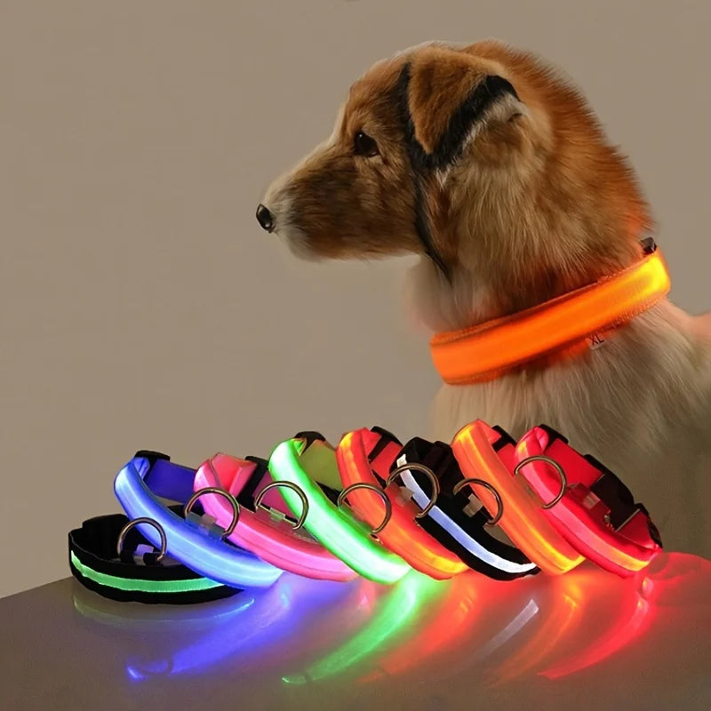 Collar LED Luminoso de Seguridad para Perros