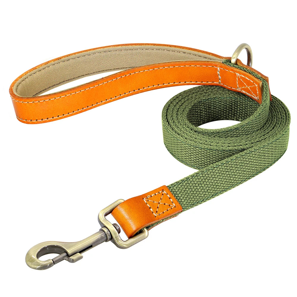 Correa de Cuero y Nylon para Perros de 150 cm | Paseos Seguros y Resistentes