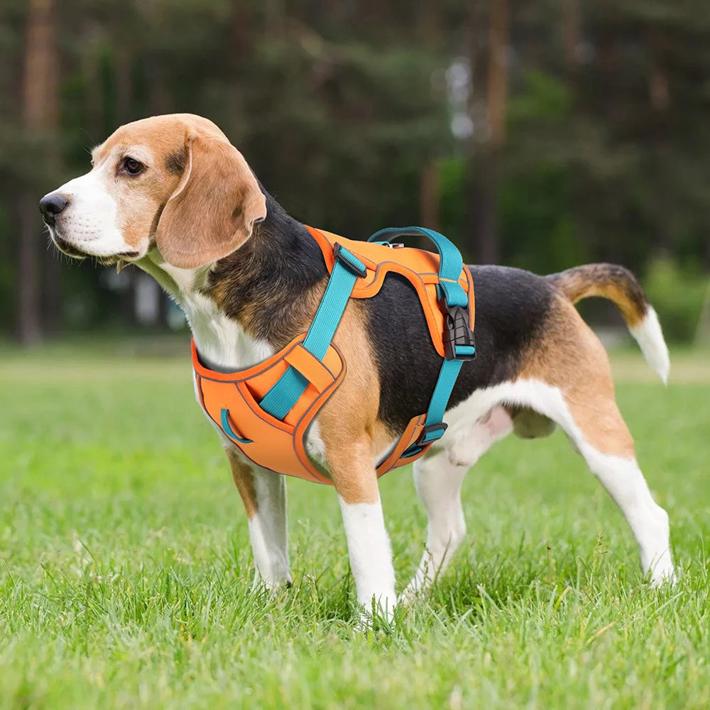 Arnés para Perros Ergonómico Transpirable con Soporte y Seguridad Reflectante