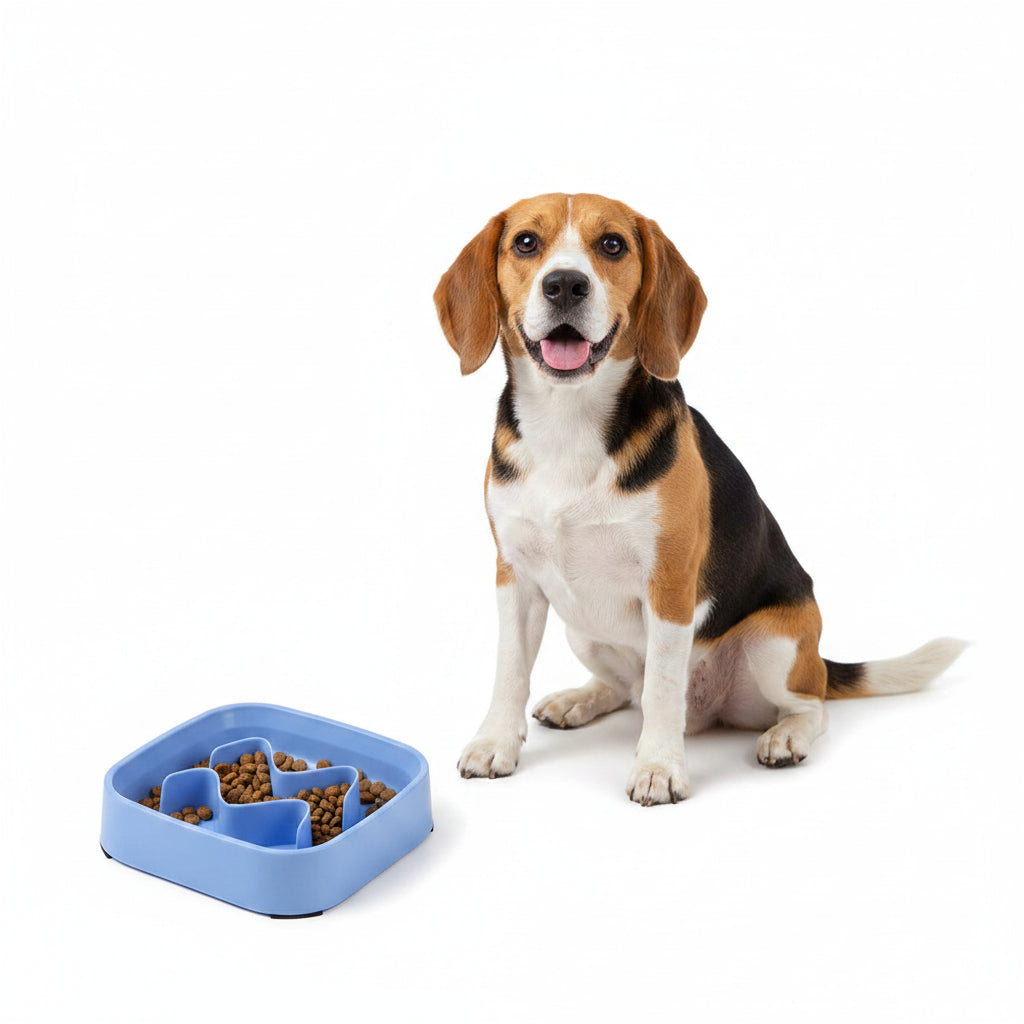 Comedero Antiahogo de Colores para Perros y Gatos