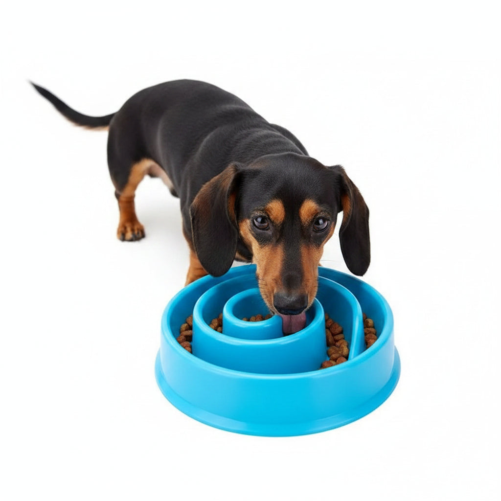 Comedero Antivoraz para Perros - Espiral Azul