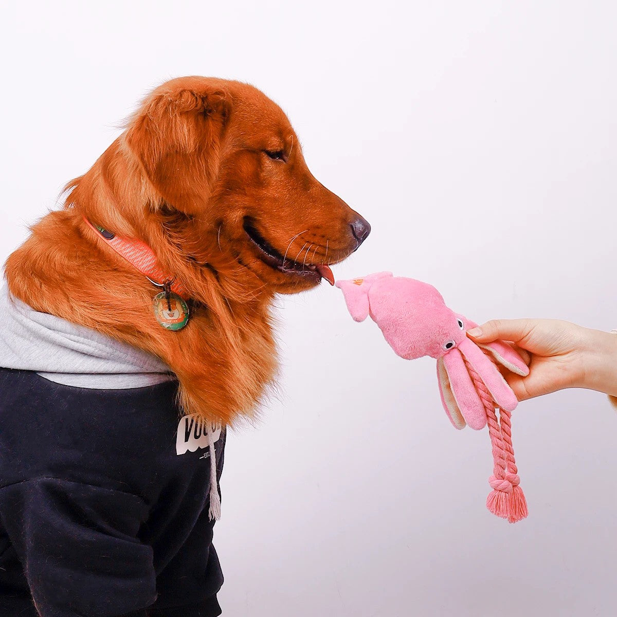 Juguete mordedor interactivo Supet para perros y gatos – ¡Diversión resistente y segura