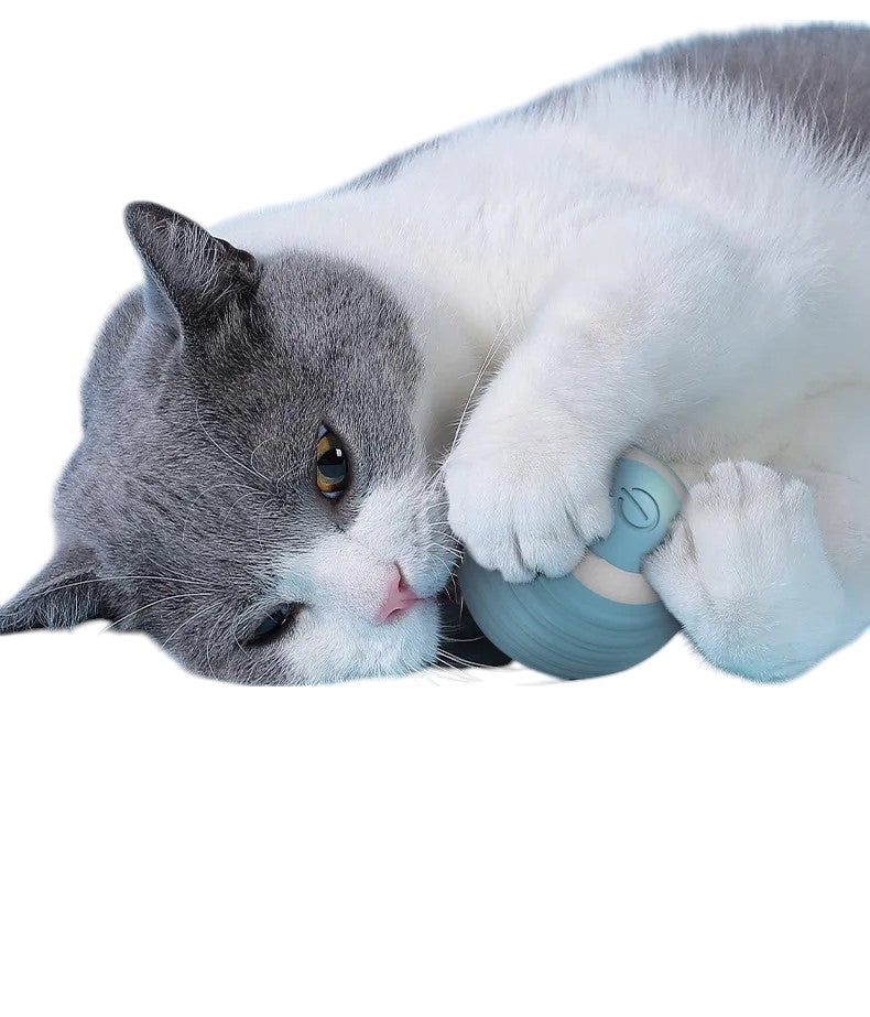 Pelota inteligente para gatos y perros – Diversión ilimitada y automática