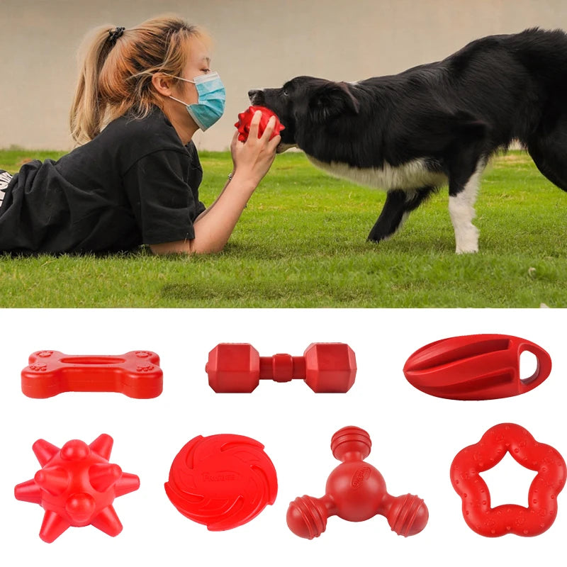 Juguete Masticable Resistente para Perros