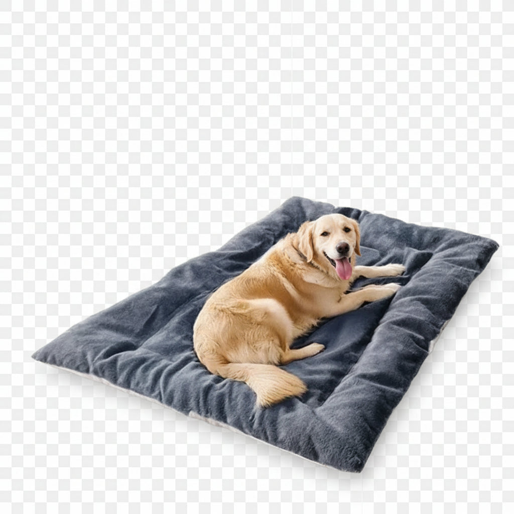 Lit-canapé en peluche extra large pour chiens