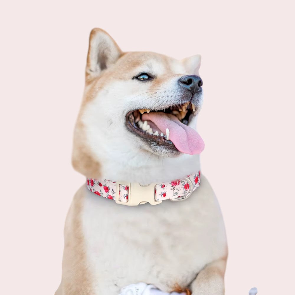 Collar Ajustable de Flores Rojo para Perros – Estilo y Comodidad