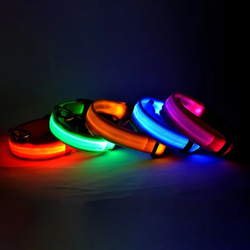 Collar LED Luminoso de Seguridad para Perros