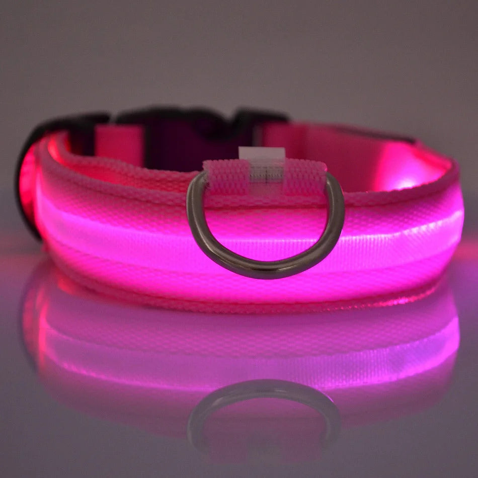 Collar LED Luminoso de Seguridad para Perros