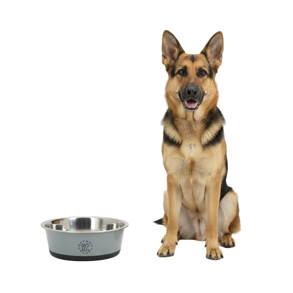 Comedero de Acero Antivuelco para Perros y Gatos