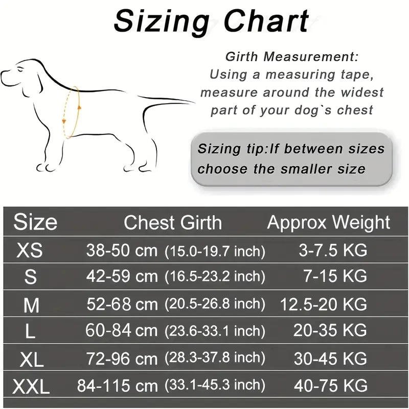 Arnés Personalizable para Perros