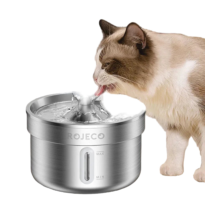 Stainless Steel Pet Fountain: Hygienic and Continuous Hydration