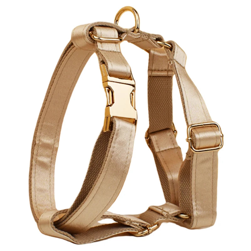 Set de Collar, Arnés y Correa de Lujo Personalizable