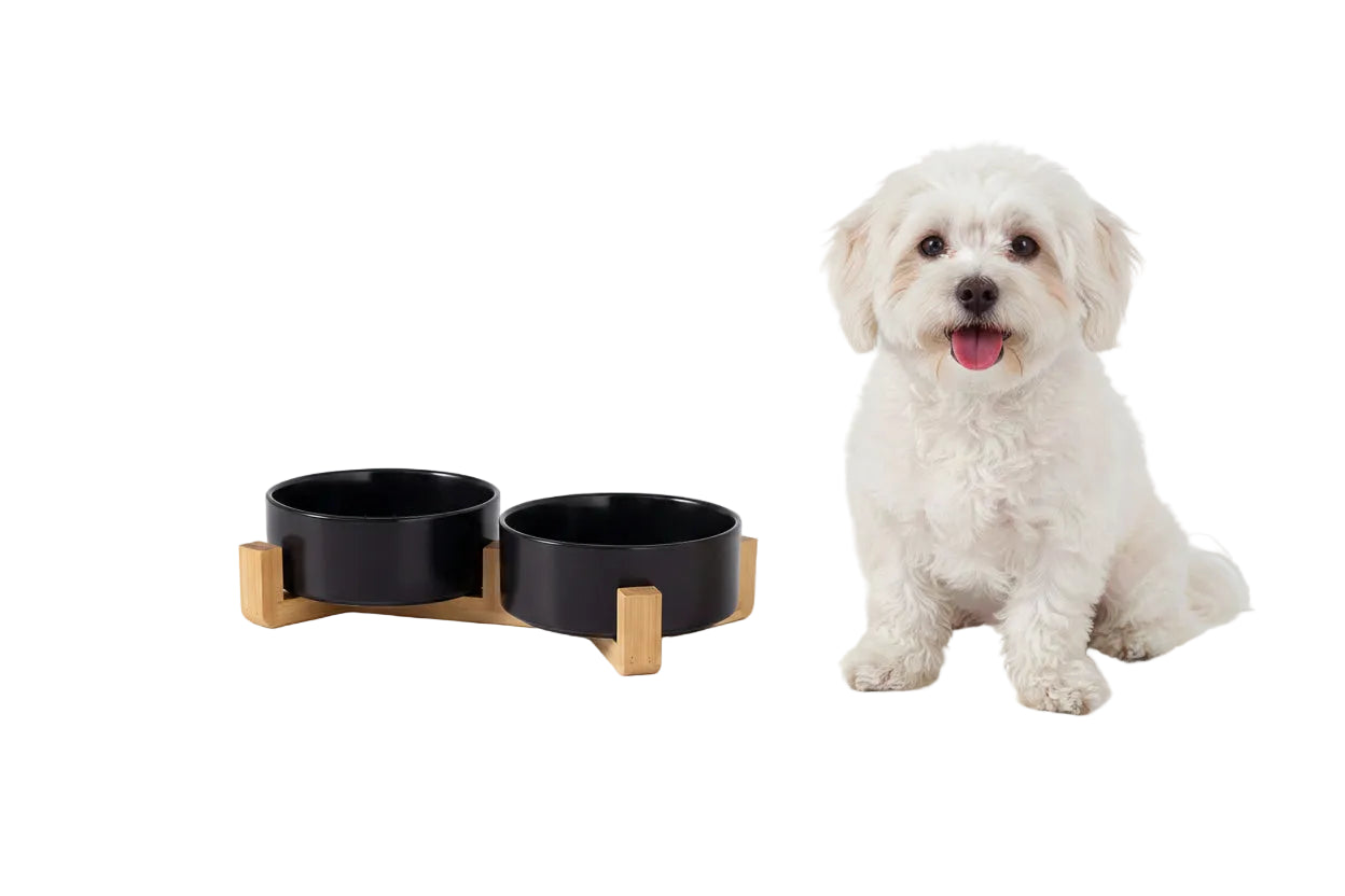 Comedero Cerámico con Soporte de Madera - Colores Básicos