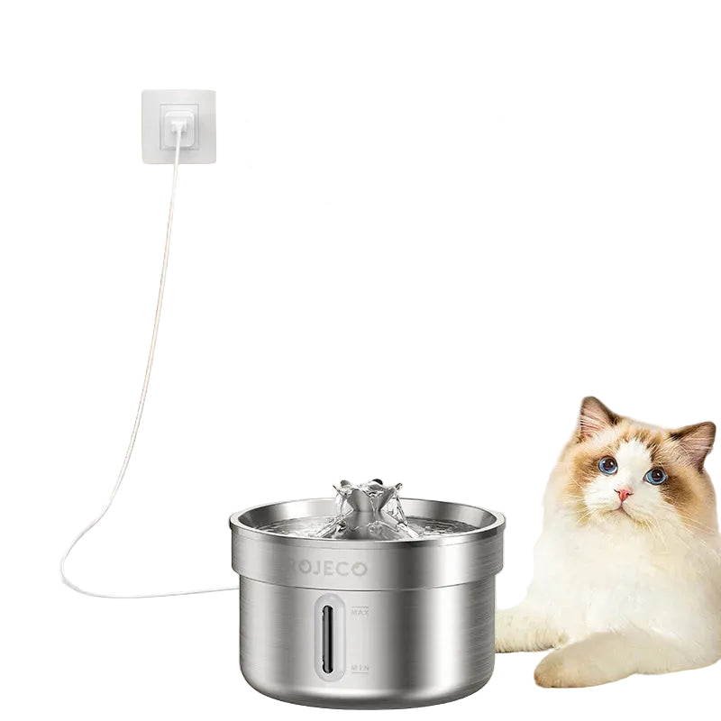 Stainless Steel Pet Fountain: Hygienic and Continuous Hydration