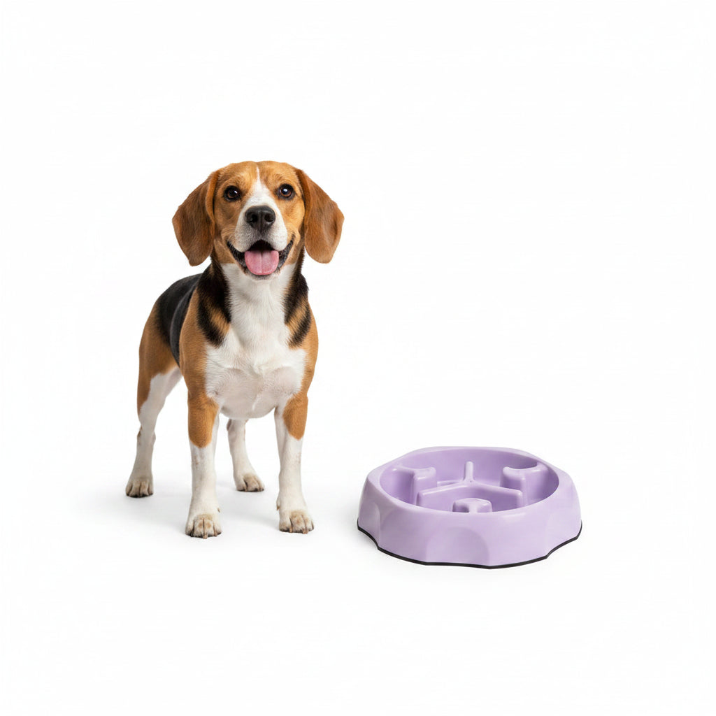 Comedero Antiahogo de Colores para Perros y Gatos