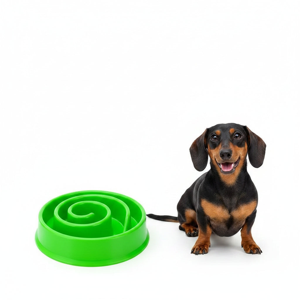 Comedero Antivoraz para Perros - Espiral Verde