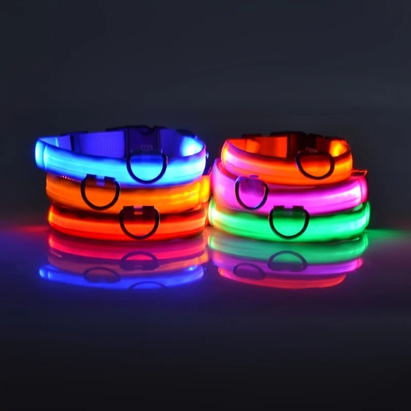 Collar LED Luminoso de Seguridad para Perros