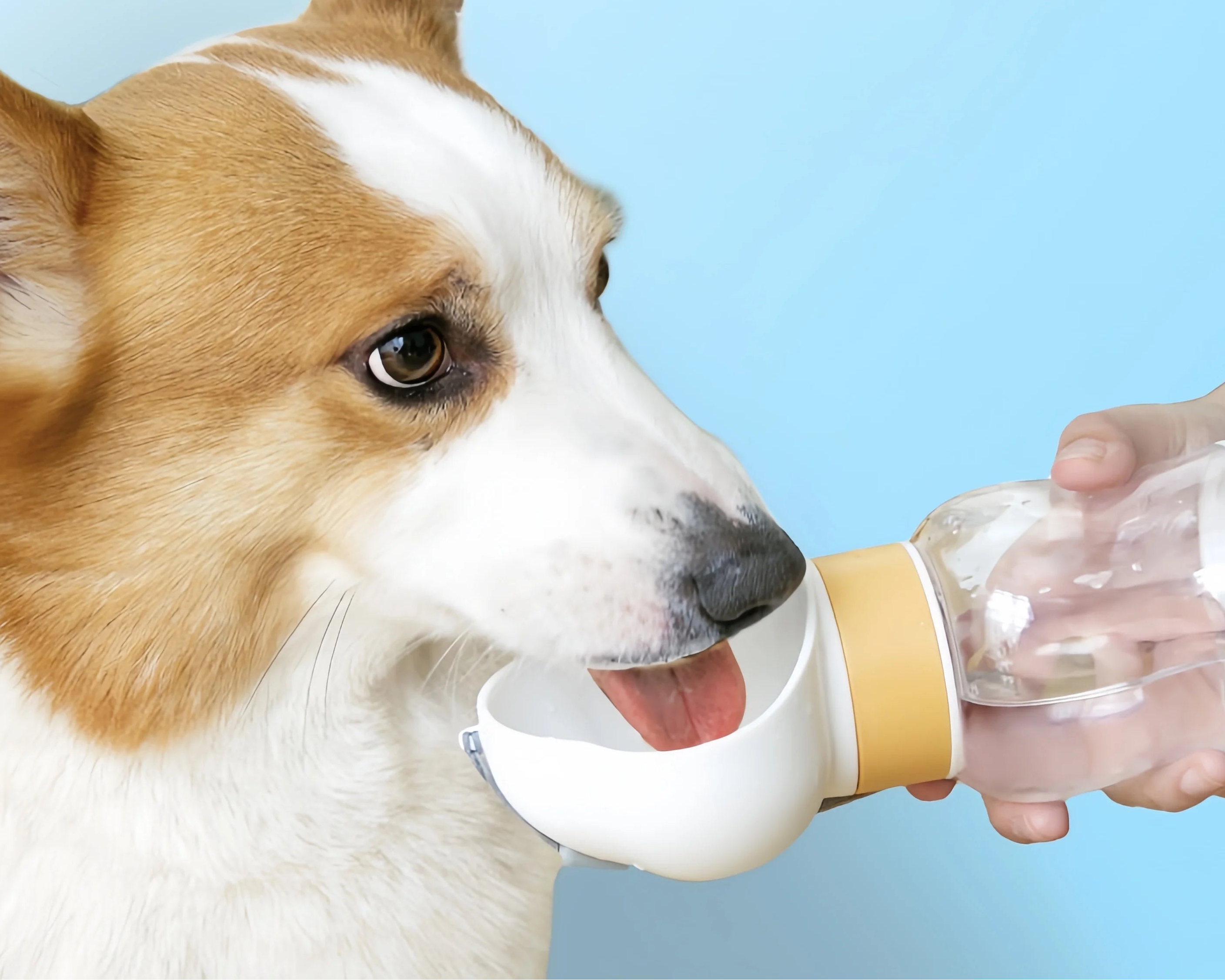 Comedero y Bebedero Portátil para Perros – Práctico, Ligero y Antiderrame