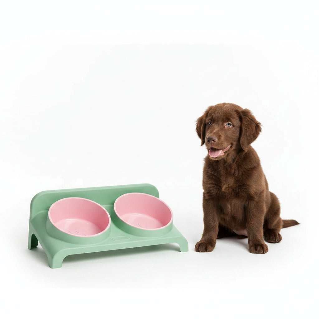 Comedero Doble Elevado y Ajustable para Perros y Gatos