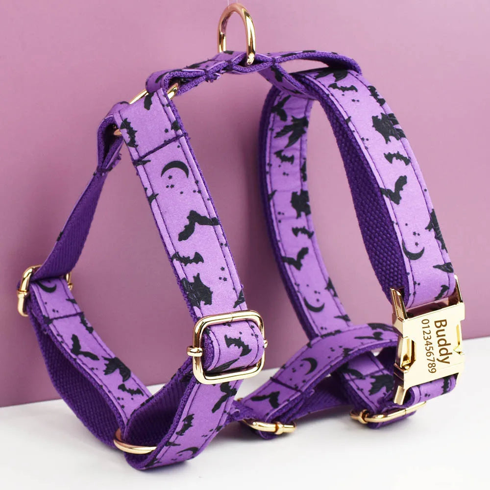 Set de Collar, Arnés y Correa con Placa Grabada Personalizada