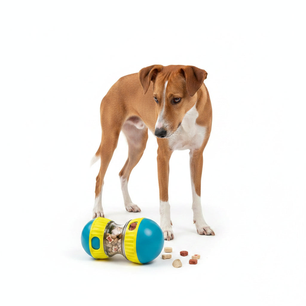 Dispensador de Snacks Interactivo de Comida Lenta