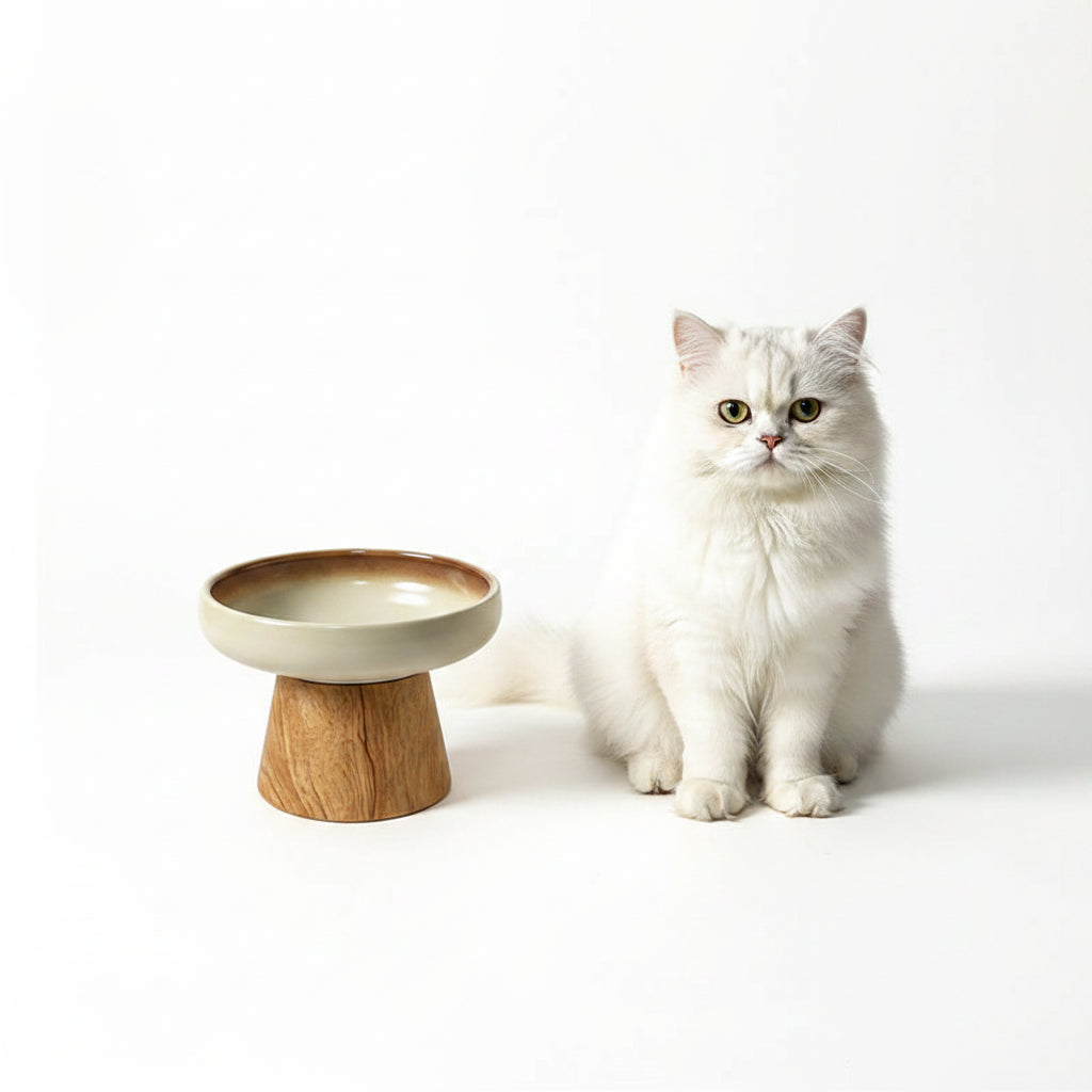 Comedero Elevado de Cerámica para Gatos y Perros Pequeños