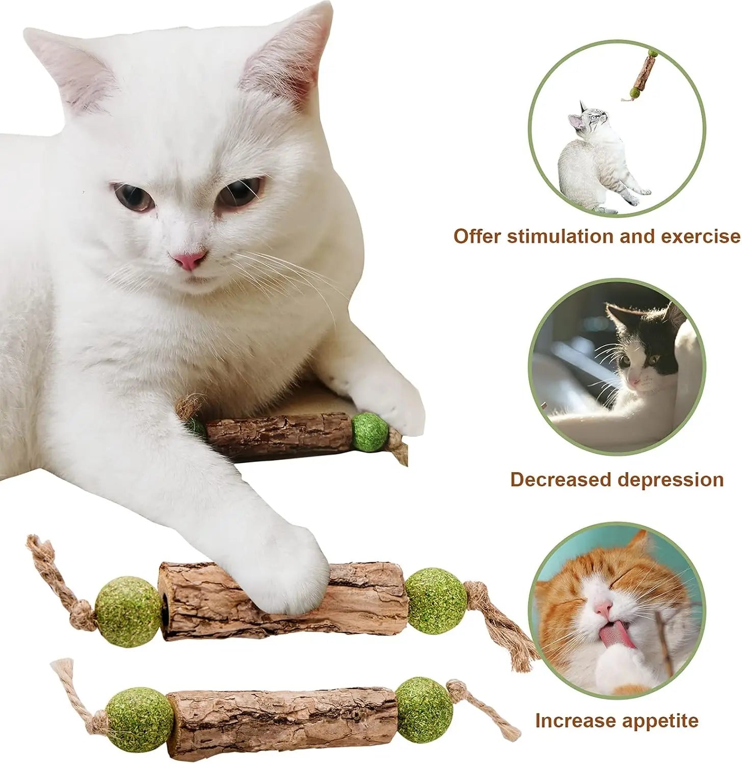 Palo Dental de Catnip y Matatabi para Gatos