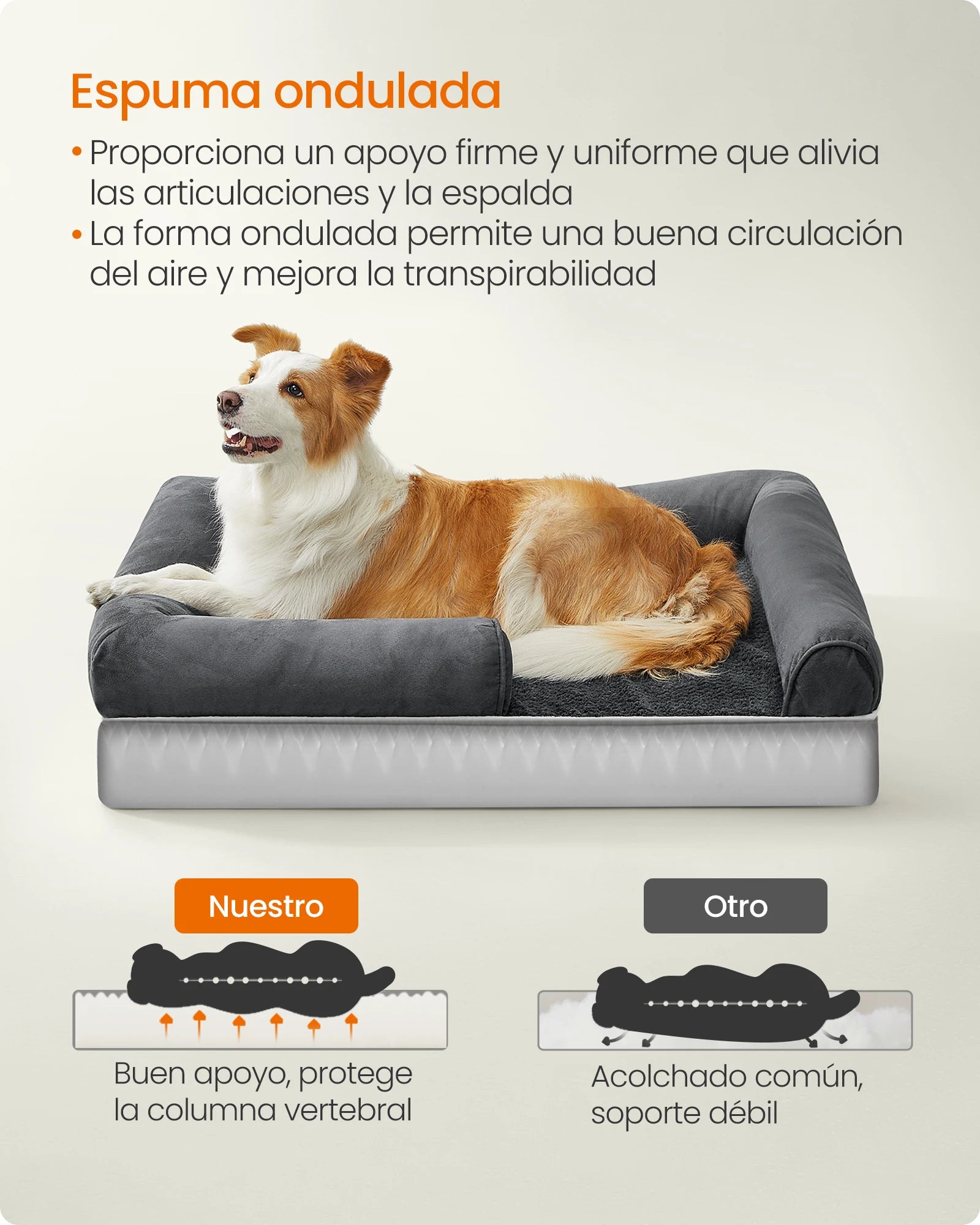 Cama Ortopédica con Bordes Elevados: El Sofá de Lujo para tu Mascota