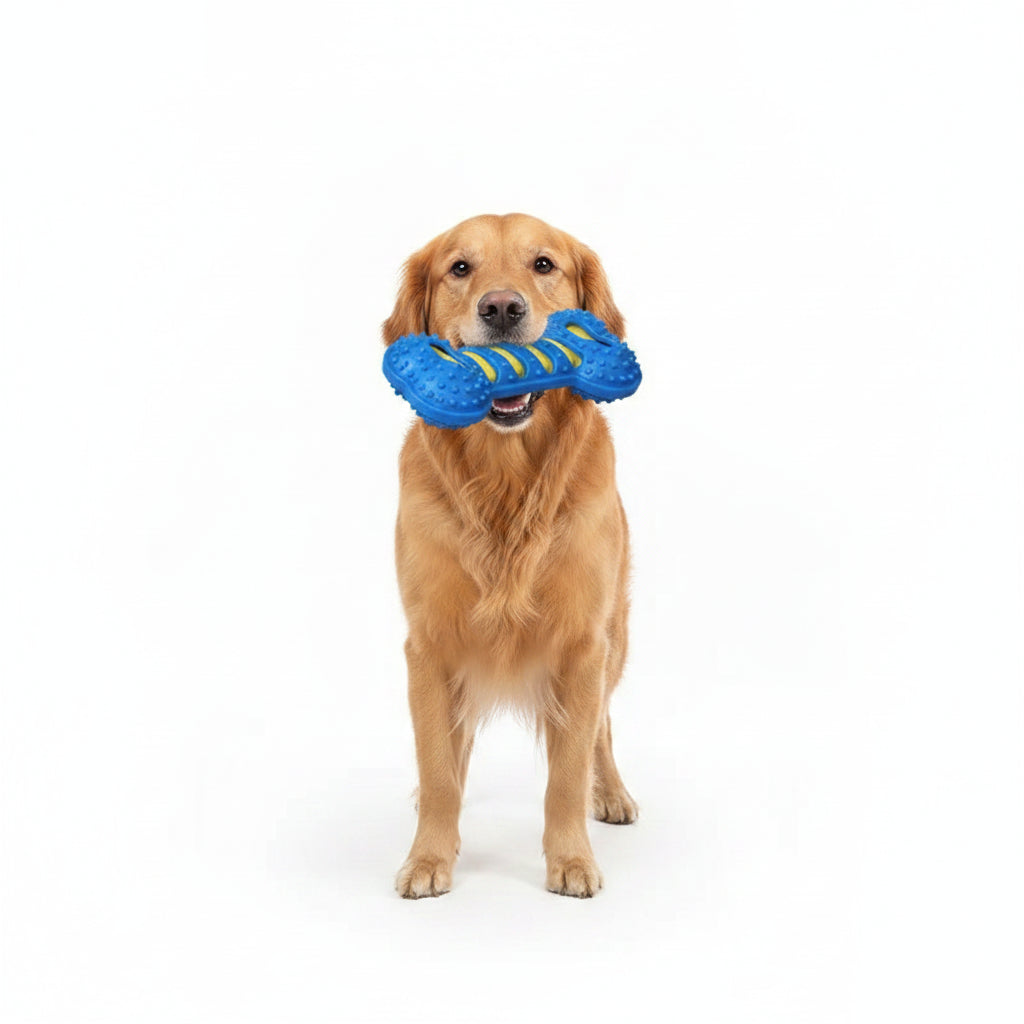Pet Dog Chew Toys Rubber Bone Toy Bite Resistant Puppy Interactive Stick Puppy Chewing Toy Squeaky Interactive Dog Toys
