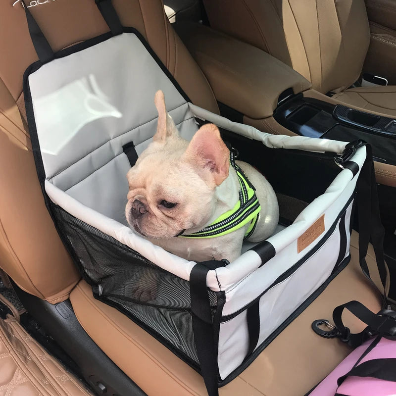 Asiento-Transportín para Coche: Versatilidad y Protección en tus Viajes