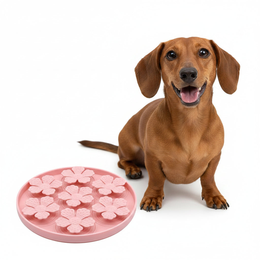 Alfombra de Silicona Lamedora para Perros
