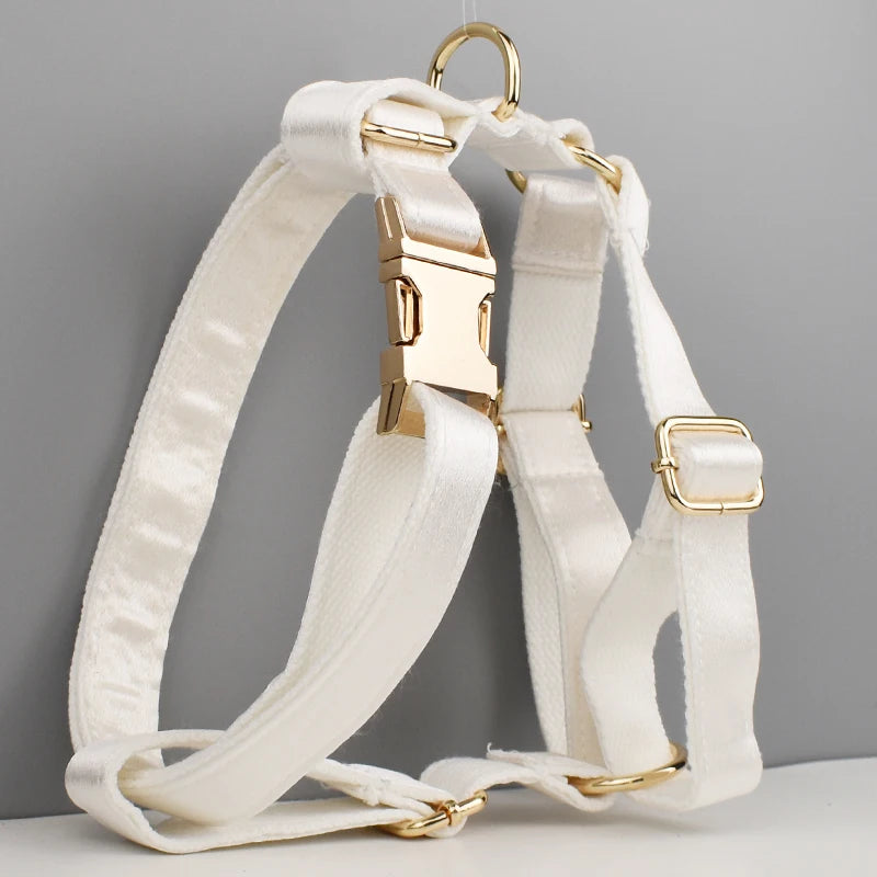Set de Collar, Arnés, Correa y Lazo Personalizable Estampado