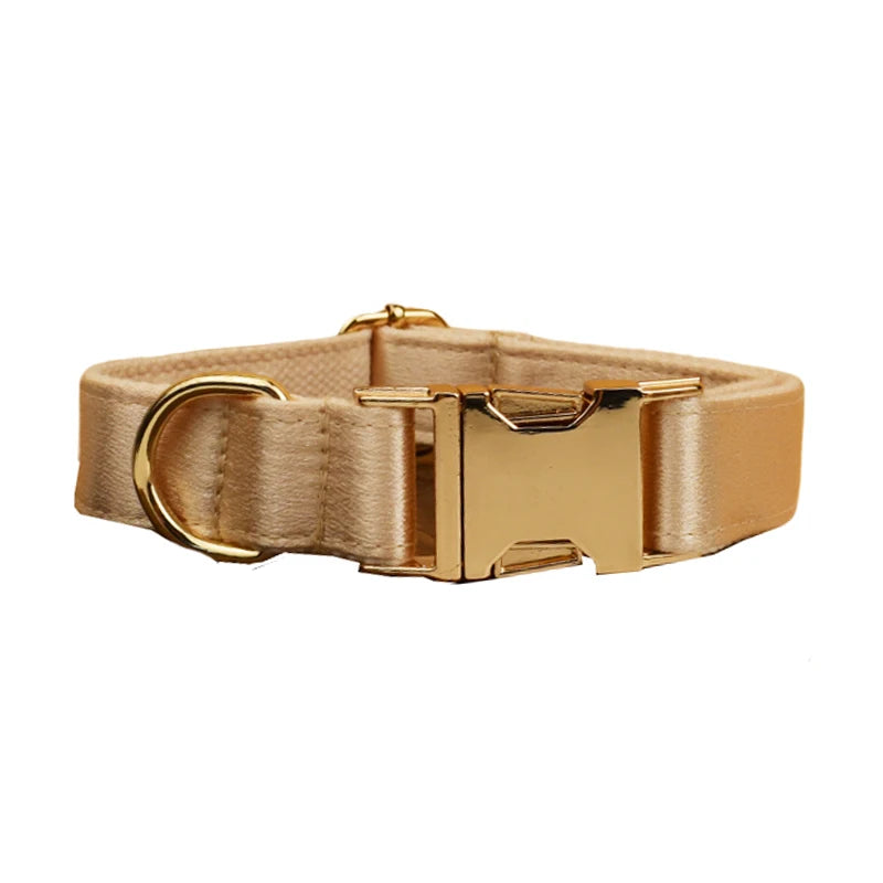 Set de Collar, Arnés y Correa de Lujo Personalizable