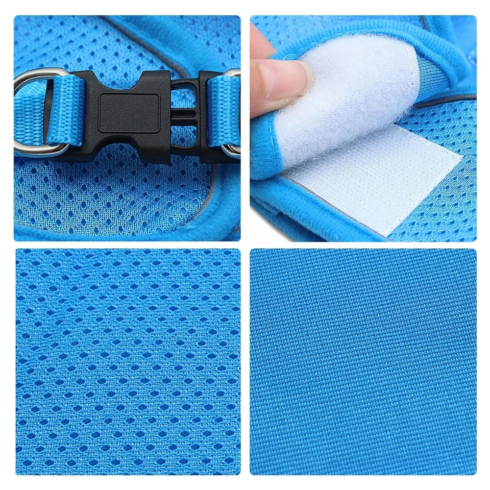 Arnés Reflectante con Correa para Perro y Gato
