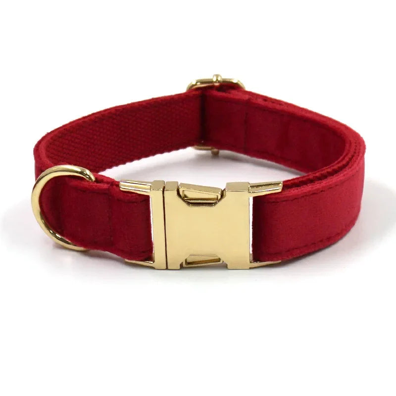 Paseo Seguro y con Estilo: Juego de Collar y Correa de Gamuza para Perros