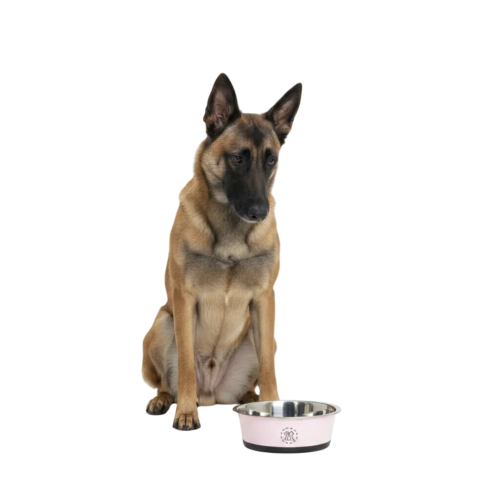 Comedero de Acero Antivuelco para Perros y Gatos - Rosa