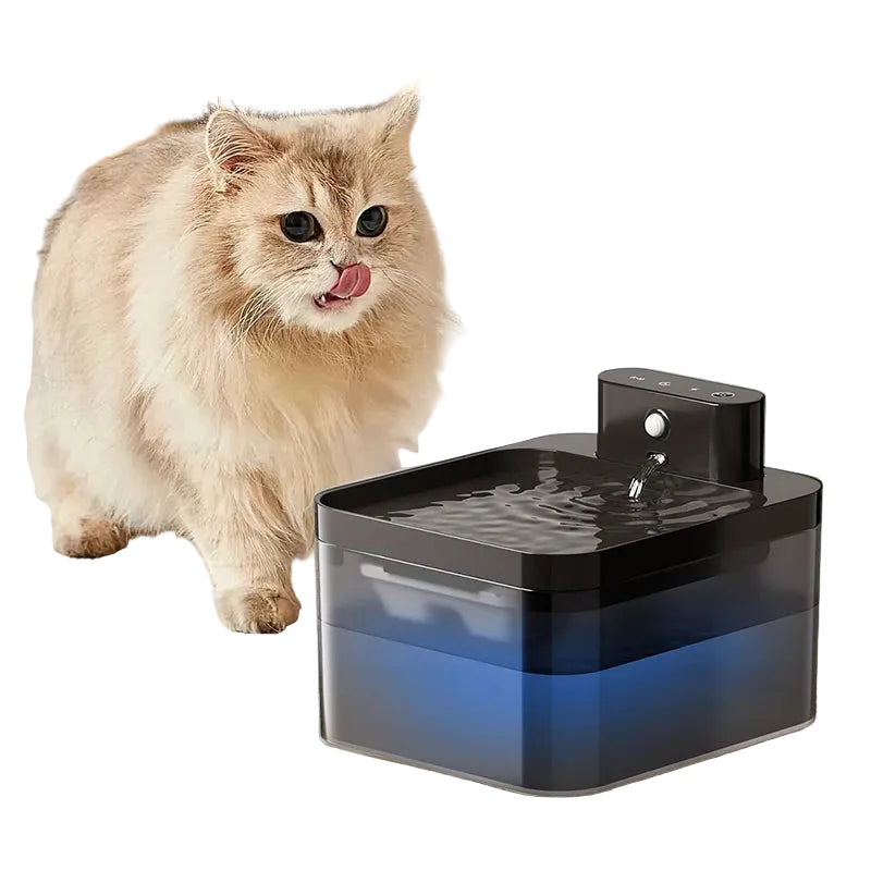 Wireless Water Fountain with Sensor: Smart and Cable-Free Hydration