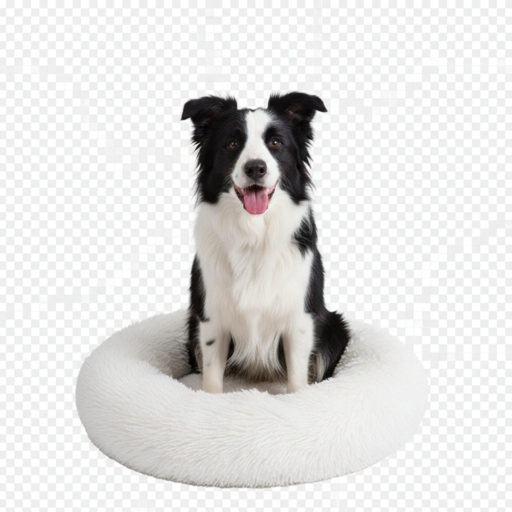 Lit Donut Orthopédique Anti-stress pour Chiens - Blanc