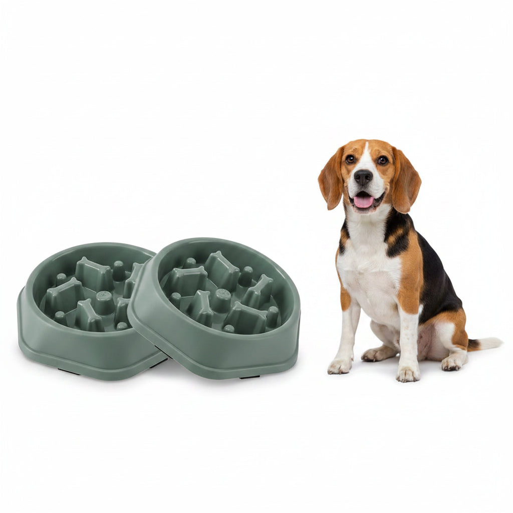 Comedero Antiahogo para Perros Pequeños y Medianos